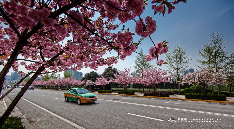 _MG_0679-HDR.jpg
