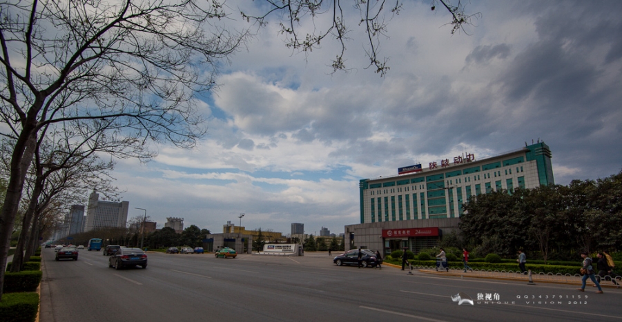 _MG_0765.jpg