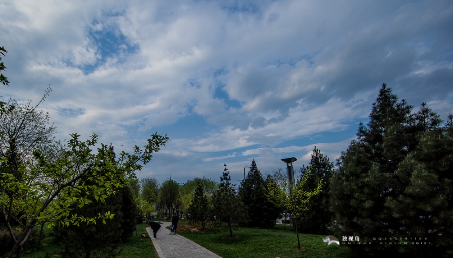 _MG_0767.jpg