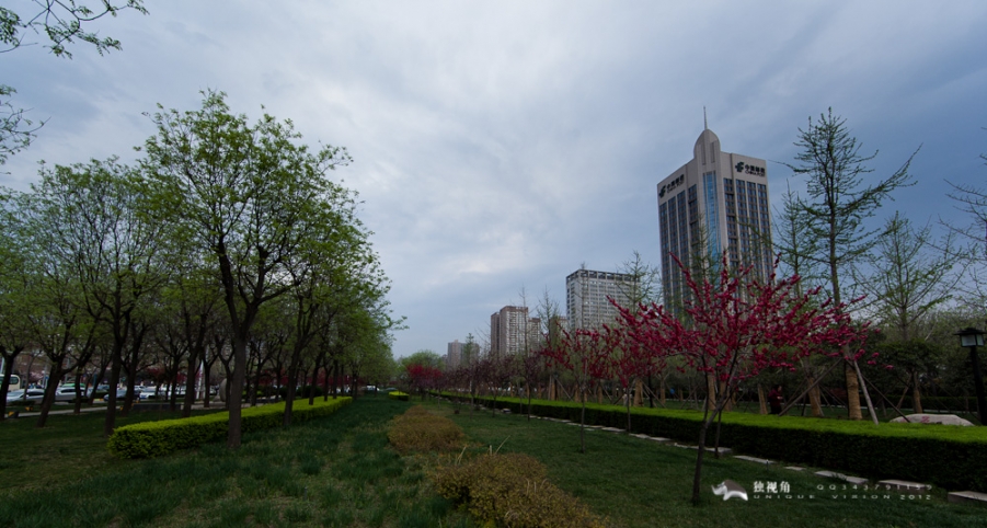 _MG_0768.jpg