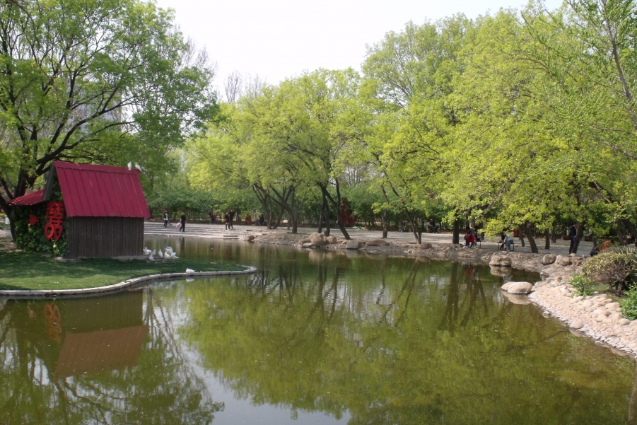 DSCF1252.JPG