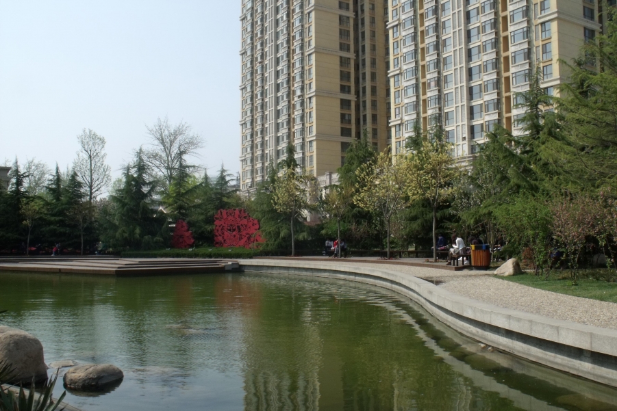 DSCF1263.JPG