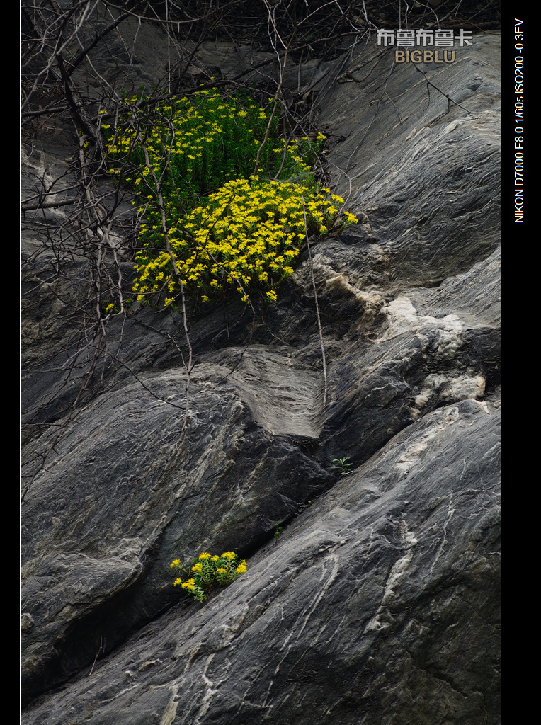 DSC_5642.jpg
