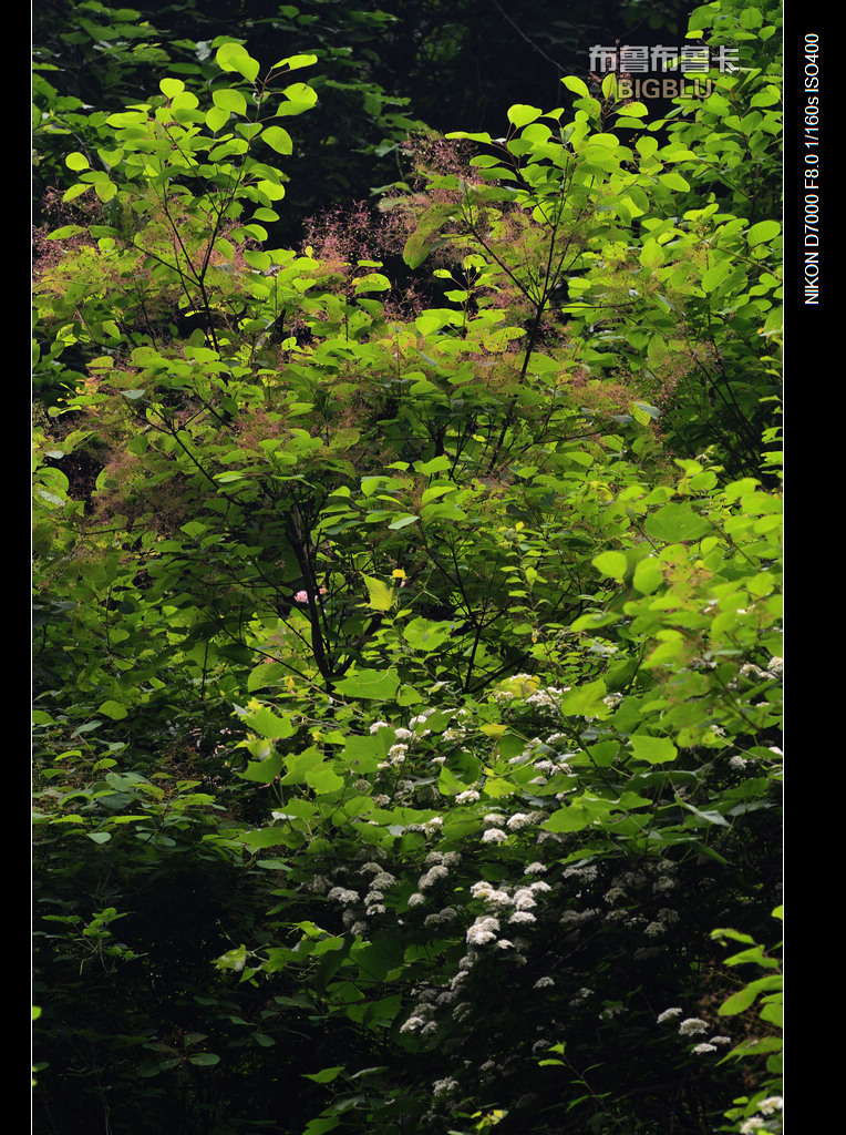 DSC_5710.jpg