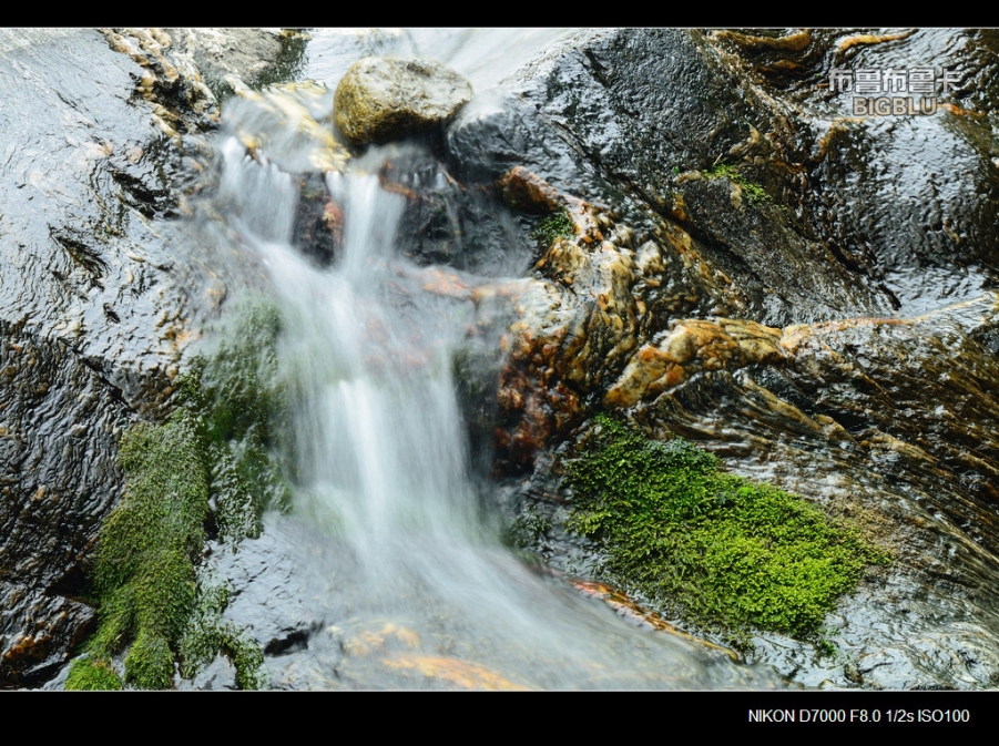 DSC_5746.jpg