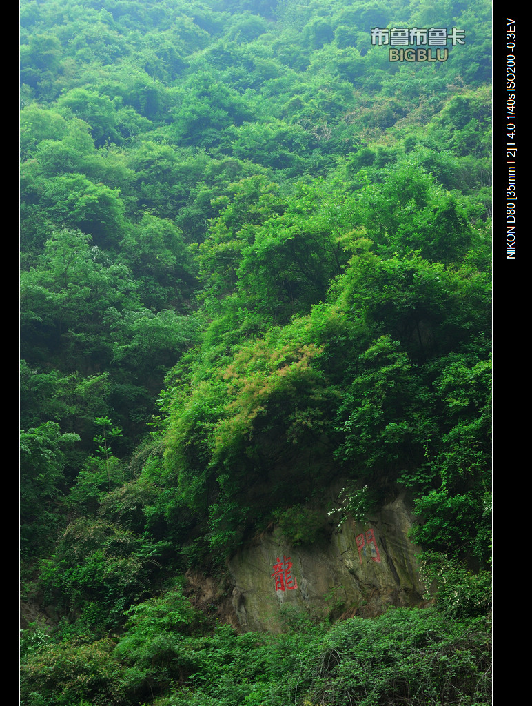 DSC_5808.jpg