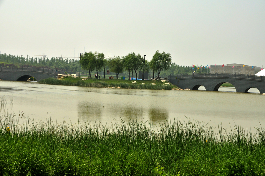 DSC_6890.JPG