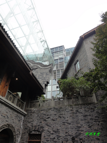 DSC00863.jpg