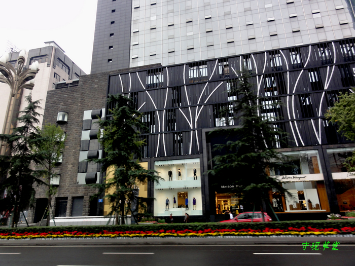 DSC00470.jpg