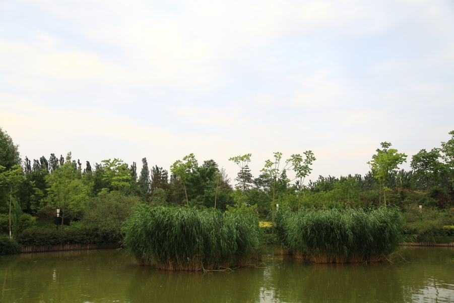DPP_0016.JPG