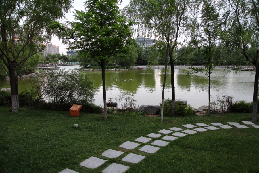 DPP_0020.JPG