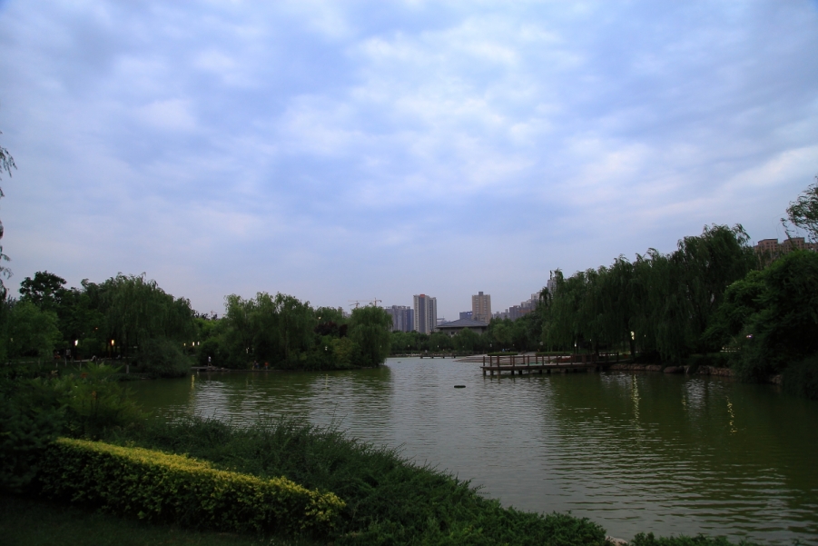 DPP_0021.JPG