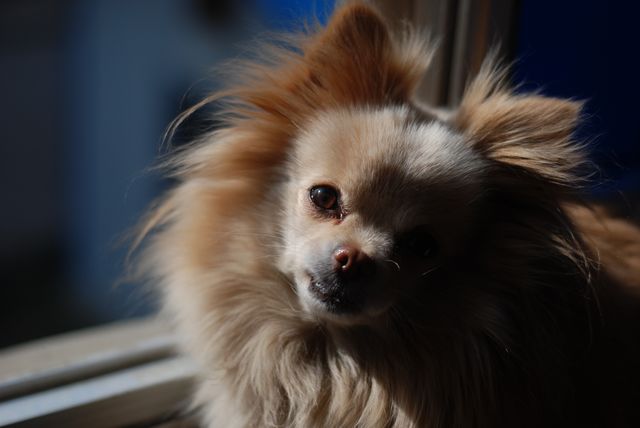 DSC_0032.JPG