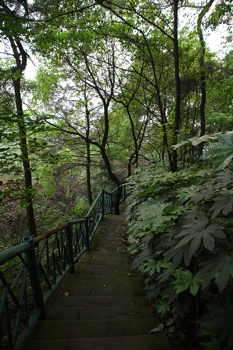 DPP_0067.JPG