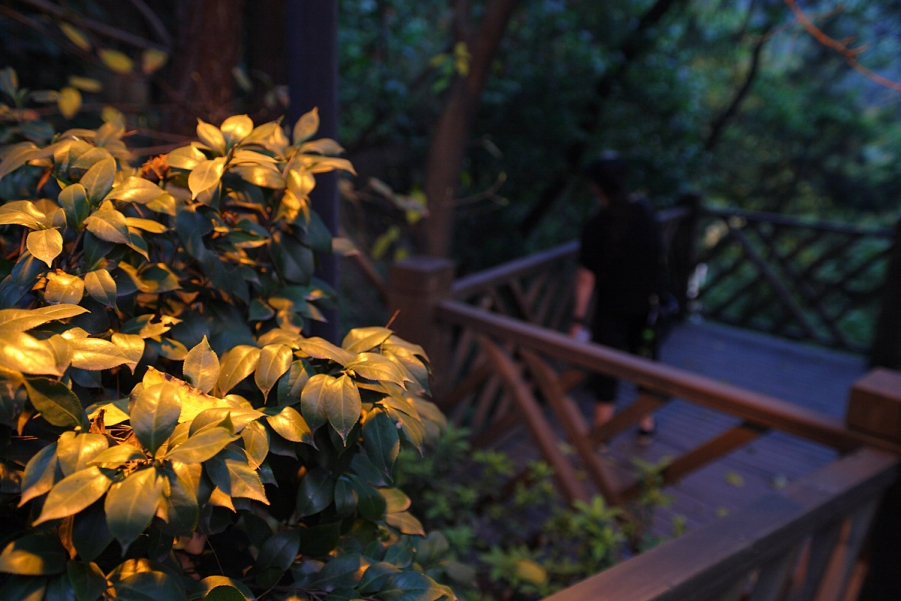 DPP_0080.JPG