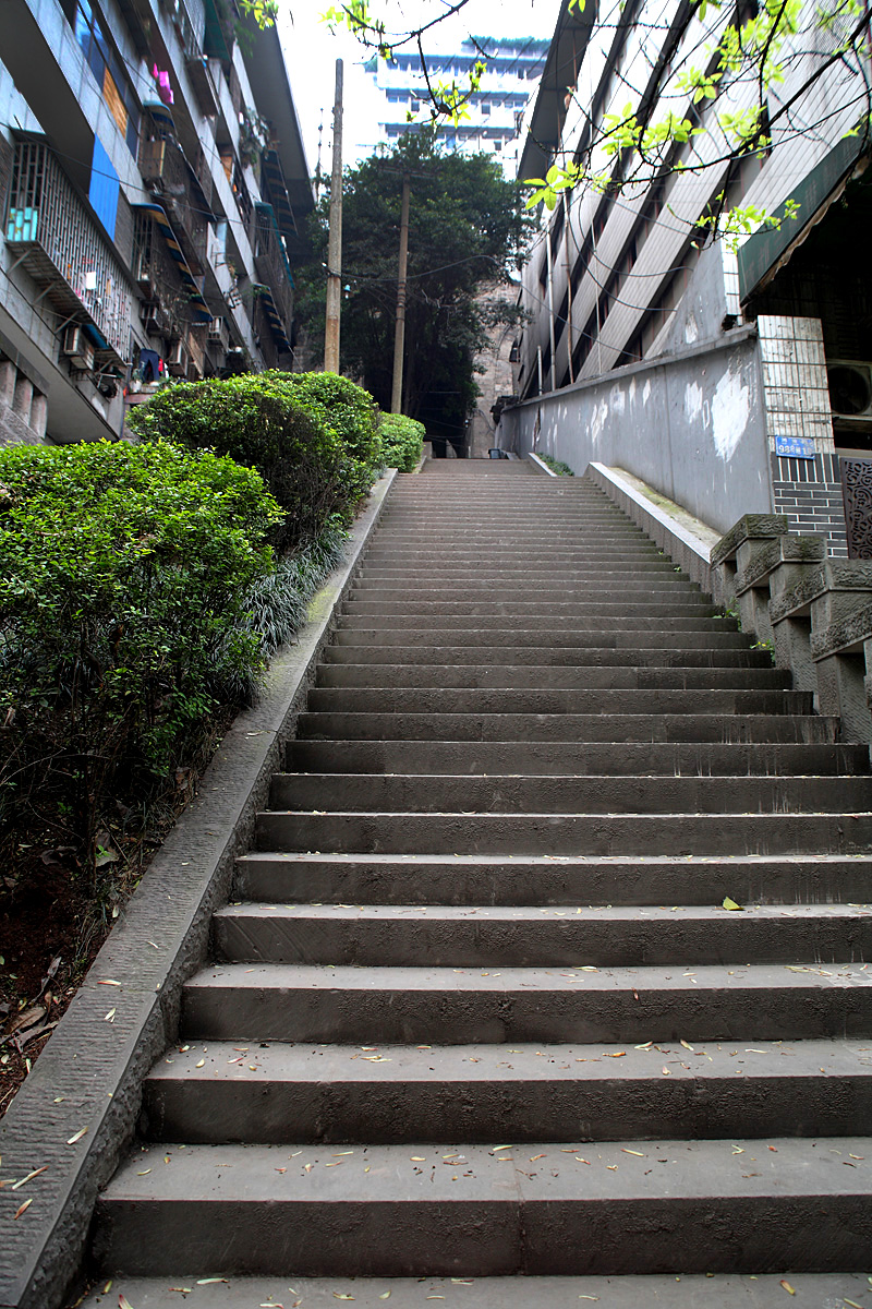 DPP_0002.JPG