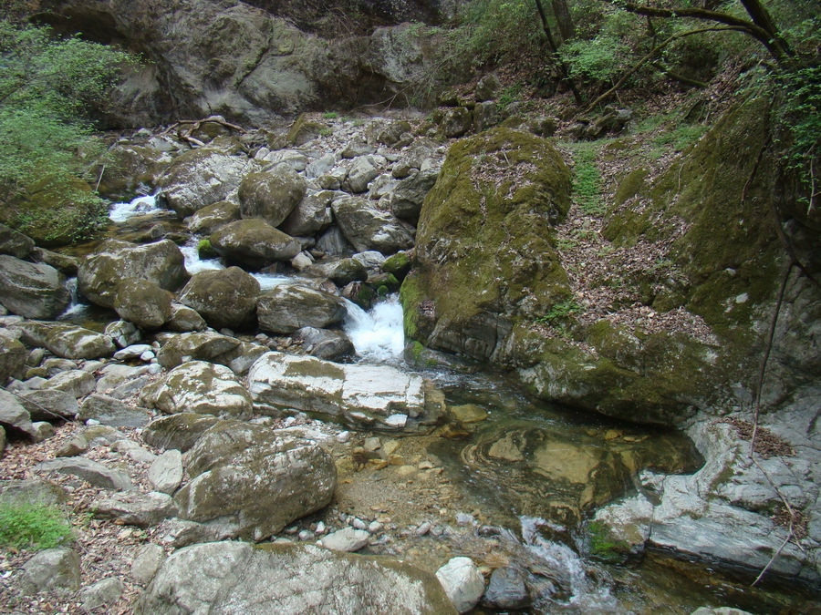 DSC02716.JPG