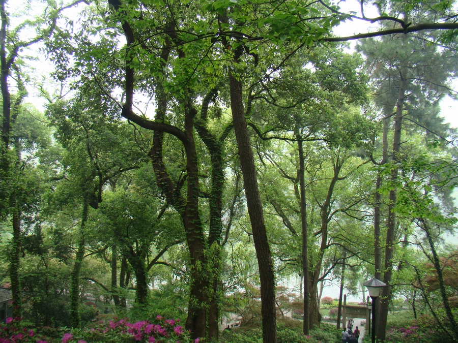 DSC03347.JPG
