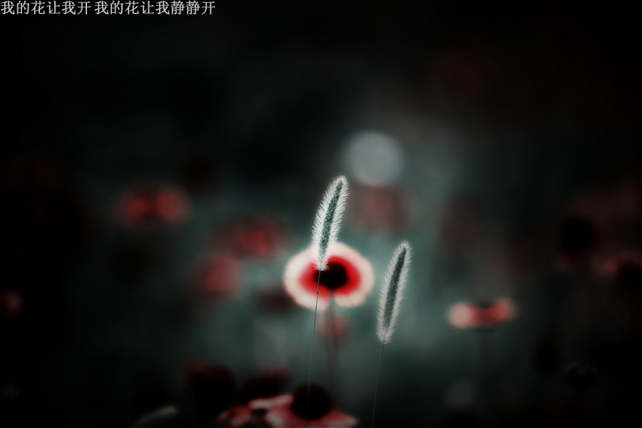 我的话让我静静开_conew1.jpg