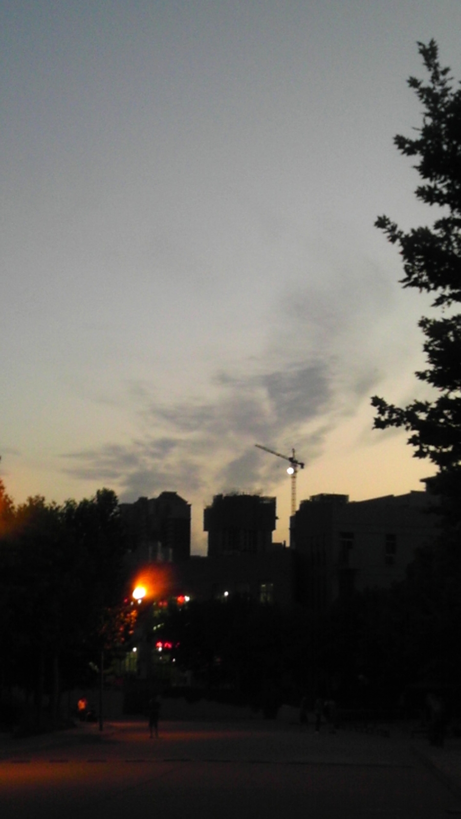 IMAG0665.jpg