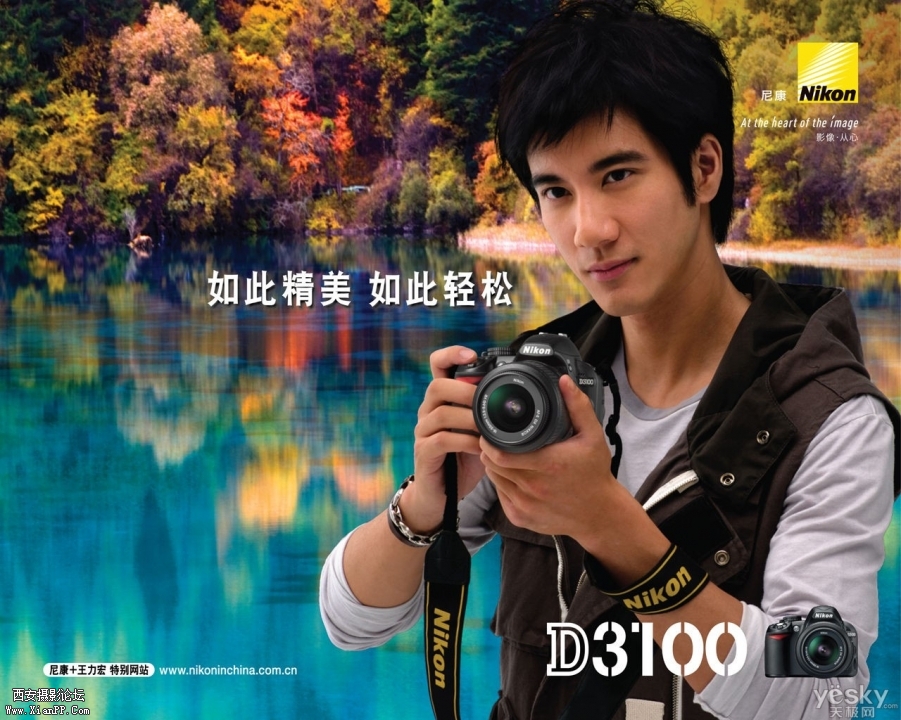 D3100 