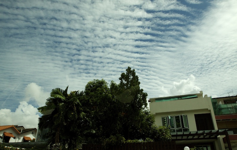 _MG_1205.jpg