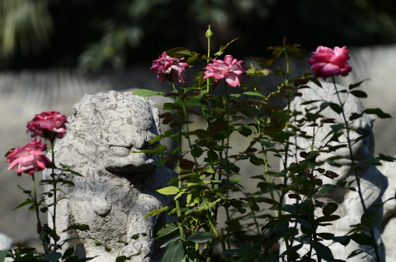 _DSC7870.jpg