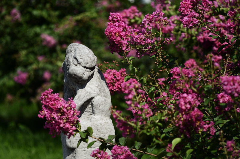 _DSC7766.jpg