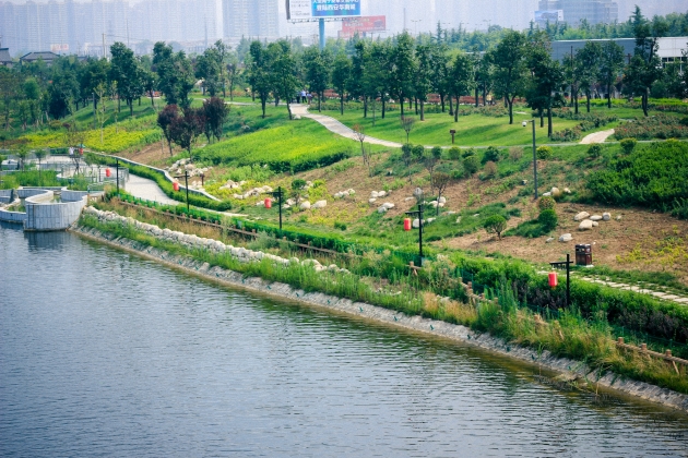 _MG_8096.jpg