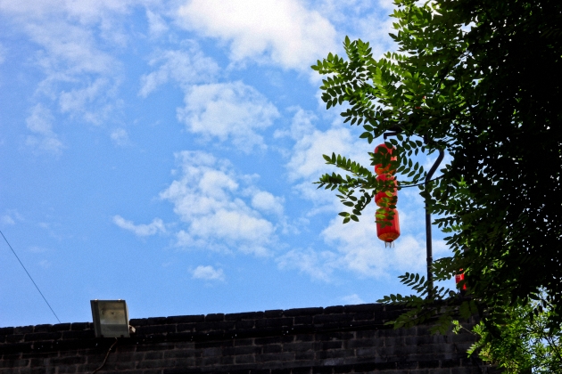 _MG_8339.jpg