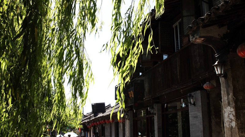 ZHU_00239.jpg