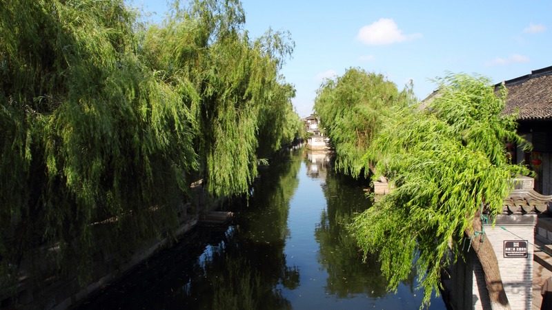 ZHU_00464.jpg