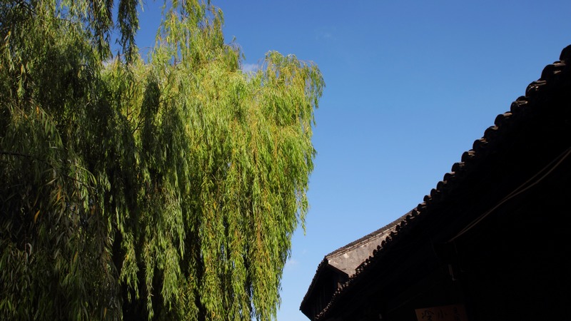 ZHUU_00501.jpg