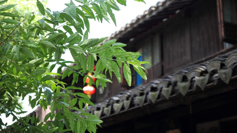 ZHUU_00593.jpg