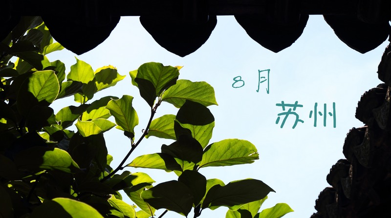 ZHU_00020.jpg