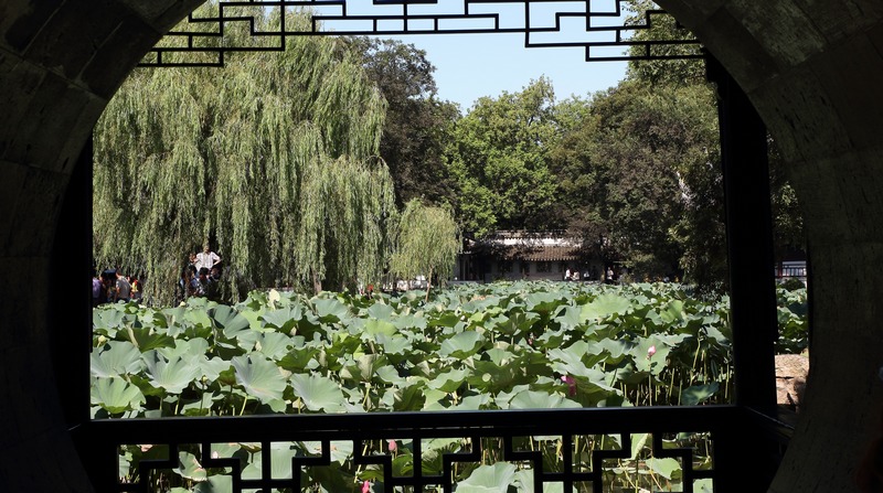 ZHU_00047.jpg