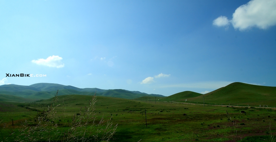 IMG_8461副本.jpg