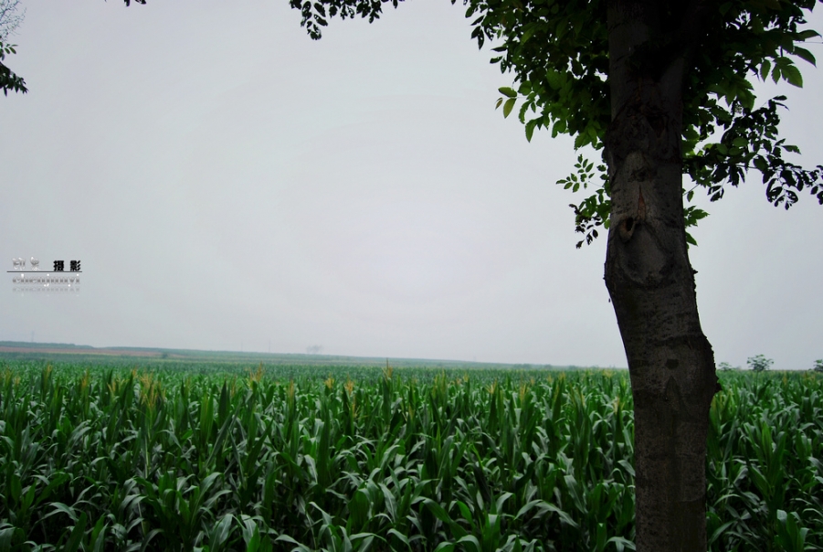 DSC_0940.jpg