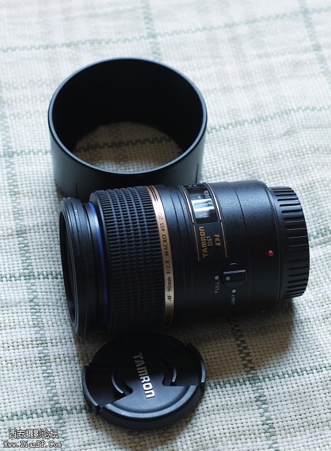 SP90.jpg