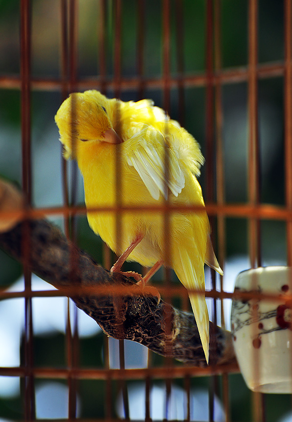 DSC_0082.JPG