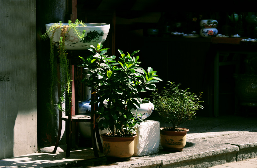 DSC_0118.JPG
