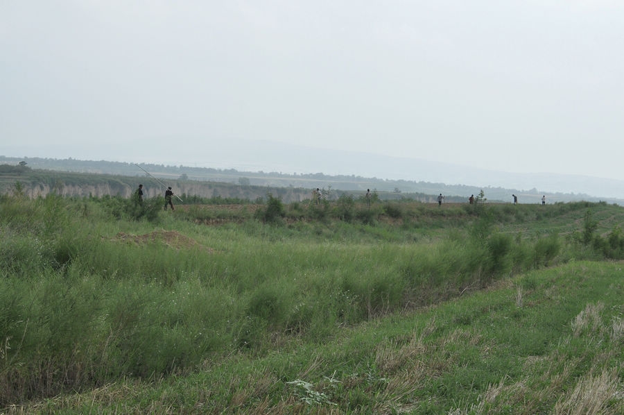 DSC_0034.jpg