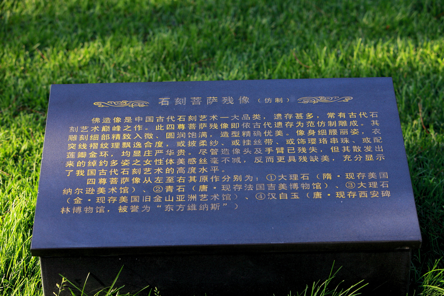 _MG_6492.jpg