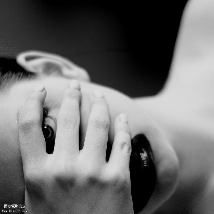 174813mxpk8n8xe88npwkg.jpg