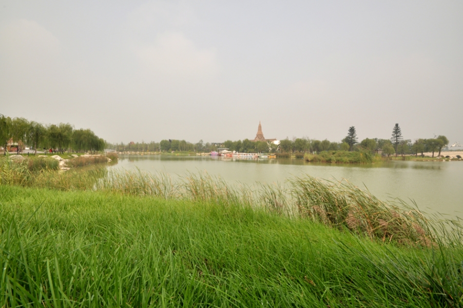 DSC_0231.JPG