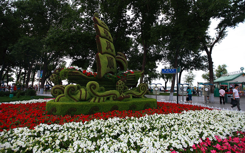_MG_8494.jpg