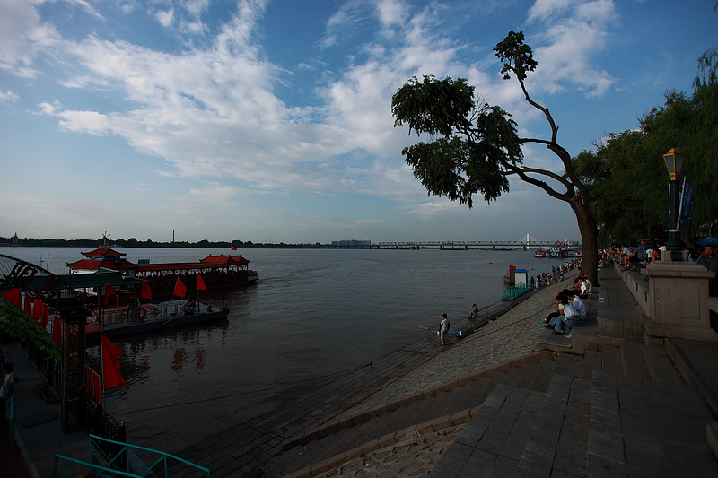 _MG_8496.jpg
