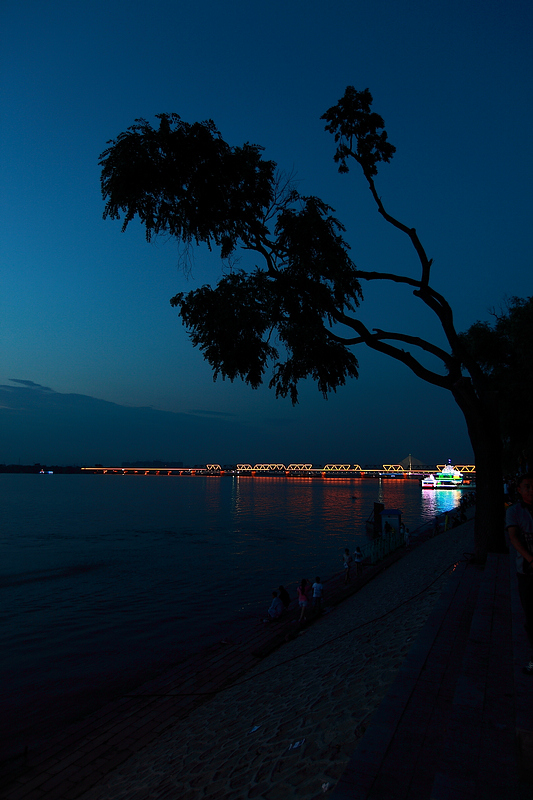 _MG_8713.jpg