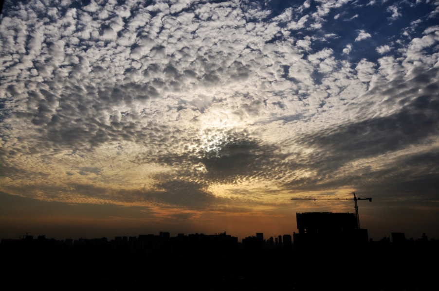 DSC_0130.JPG