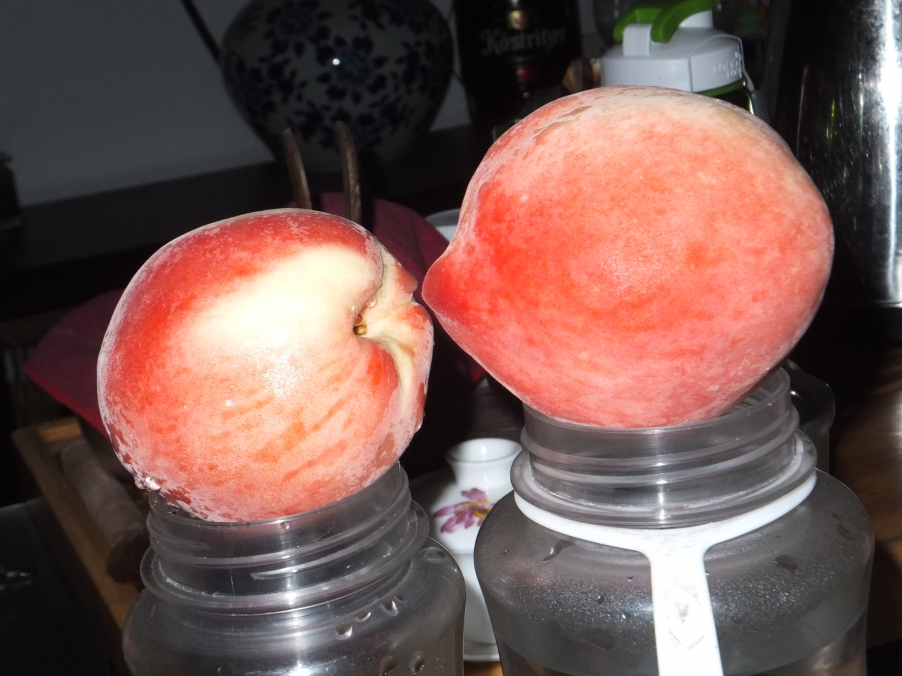 DSCF8410.JPG